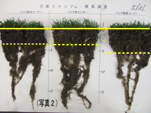 写真2。5月末