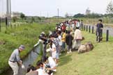 植栽風景、撮影日21年6月11日