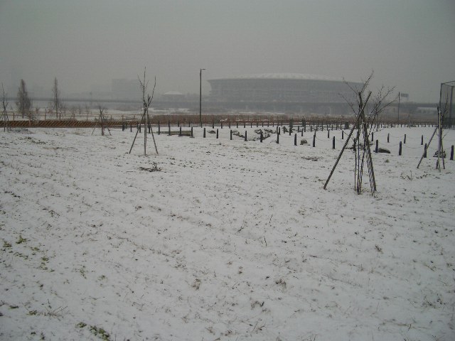 雪のスタジアム