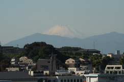 雪化粧の富士山です