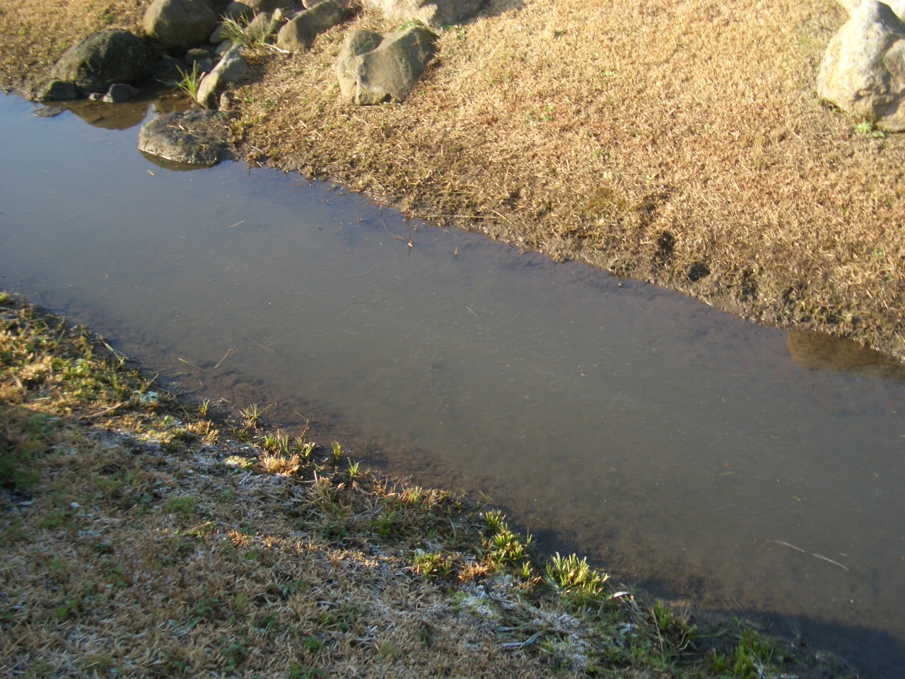 北側園地の流れ