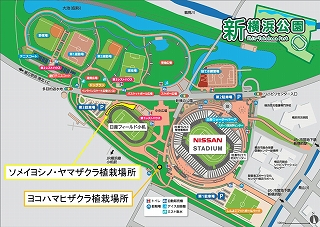 新横浜公園マップ.jpg