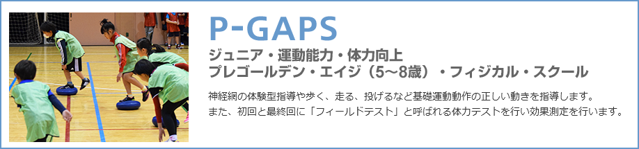 P-GAPS