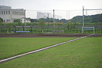 野球場