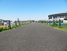 鳥山川堤体～西ゲート歩道橋前