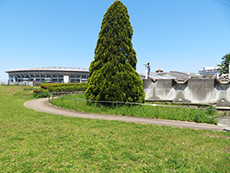 新横浜駅前公園上りスロープ画像