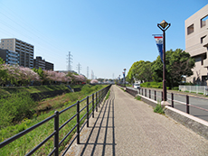 浜鳥橋交差点～鳥山川堤体画像