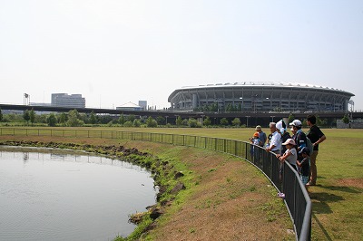 いきもの観察夏特 (1).jpg