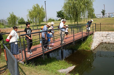 いきもの観察夏特 (2).jpg