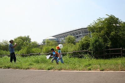 いきもの観察夏特 (3).jpg