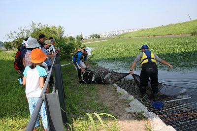 いきもの観察夏特 (5).jpg