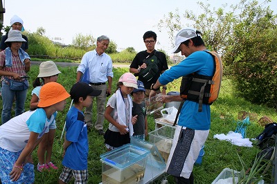 いきもの観察夏特 (7).jpg