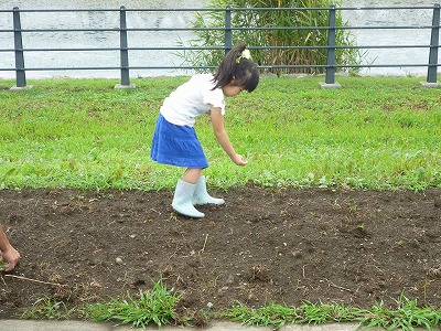 コスモス種まきイベントを行いました 日産スタジアム 新横浜公園 スタッフブログ