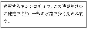 スクリーンショット 2023-05-12 170728.jpg