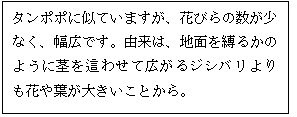 スクリーンショット 2023-05-12 170751.jpg