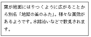 スクリーンショット 2023-05-12 171249.jpg