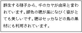 スクリーンショット1 2023-05-12 171728.jpg