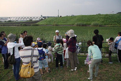 セミ昆虫トラップ (3).jpg