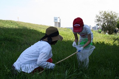 バッタ観察会 (3).jpg