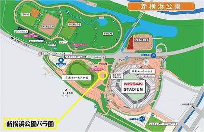 2013バラ園地図.jpg