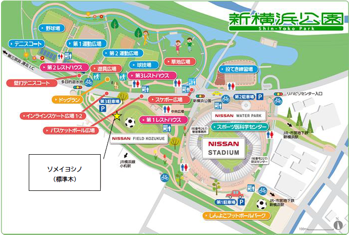 公園図ソメイヨシノ（標準木）.png