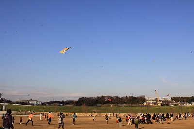 大凧　空に向かって.jpg