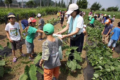 小机食育雑草抜き (2).jpg