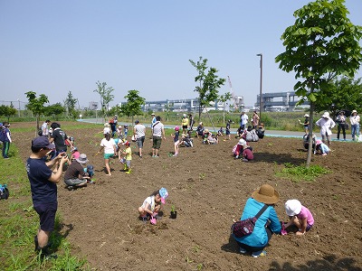 田植え花植え、かぼちゃも １.jpg