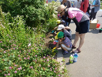 田植え花植え、かぼちゃも ２.jpg