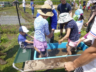 田植え花植え、かぼちゃも ７.jpg