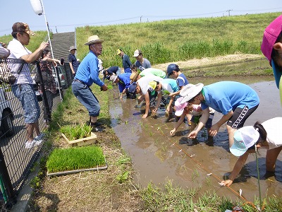 田植え花植え、かぼちゃも４.jpg