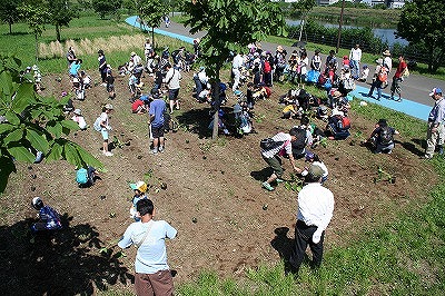 田植え花植えイベント (1).jpg