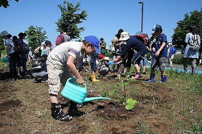 田植え花植えイベント (3).jpg