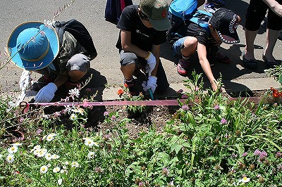 田植え花植えイベント (4).jpg