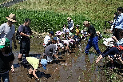 田植え花植えイベント (7).jpg