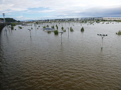 草地水没.jpg