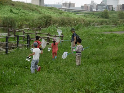 虫捕りに夢中.jpg