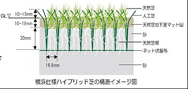 008横浜仕様ハイブリッド芝.jpg