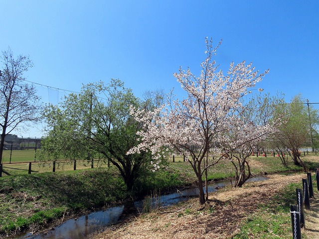 0320⑤.jpg