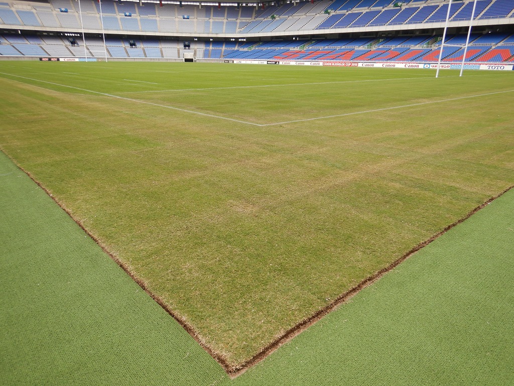 壁紙 芝生 サッカー