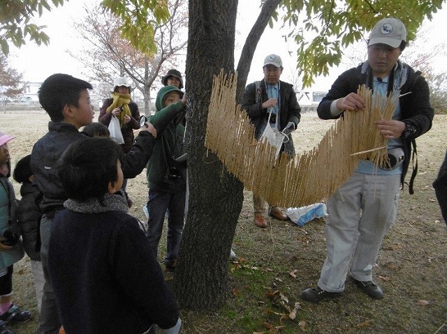 2018いきもの観察会⑤_13.jpg