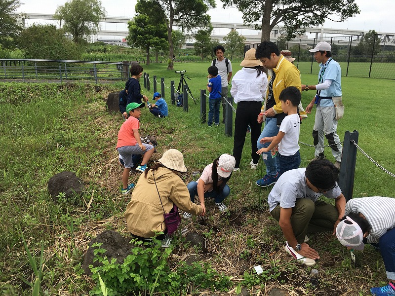 2019生きもの③_3.jpg