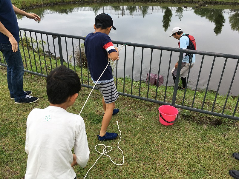 2019生きもの観察会①_9.jpg