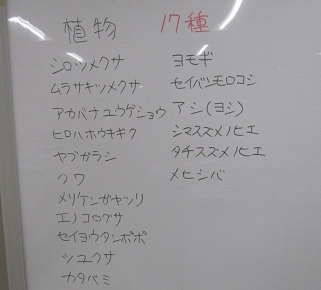⑫IMG_2447.jpg