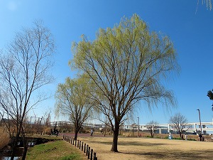 s-IMG_1127.jpg