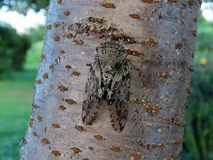 IMG_0069.jpg