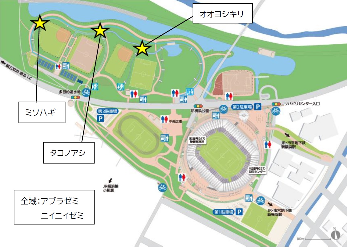 map.jpg
