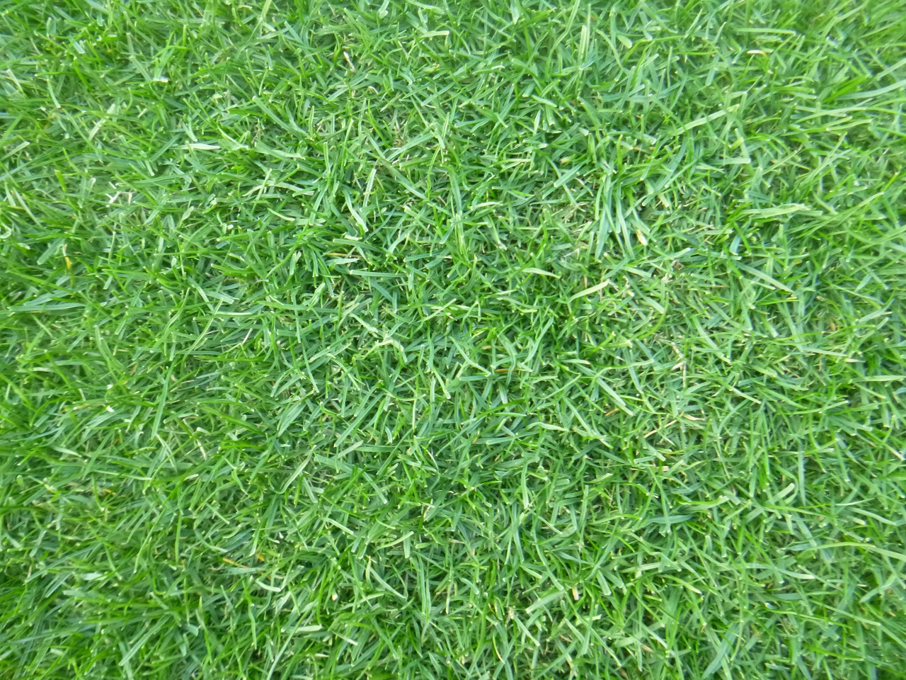 20211227-04.jpg