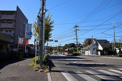 20231115-33.jpg
