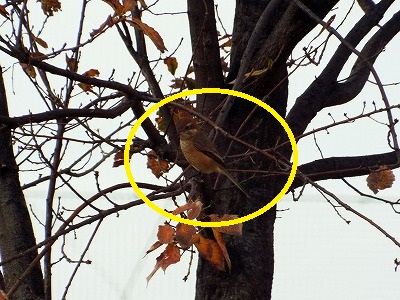 DSCF3831.jpg